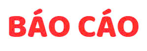 Báo cáo thường niên năm 2024