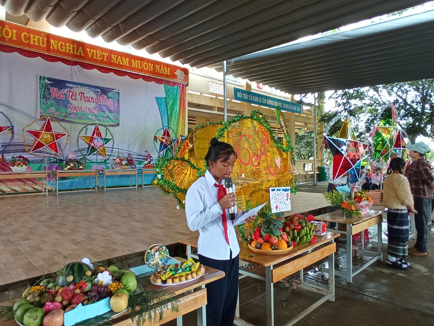 z5836010876385 b3a376781dcfc1c9c81fc5056b2f9e66